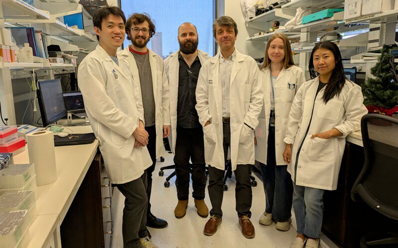 Así se vigila la evolución del microbioma: «Debería preocuparnos la extinción de algunos microbios tanto como la del lince ibérico»