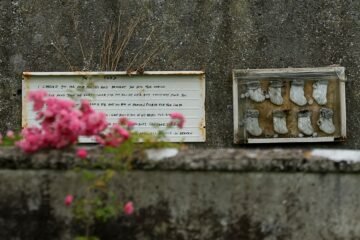Los 800 bebés perdidos de Tuam