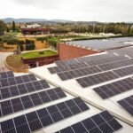 Una bodega centenaria contra el cambio climático