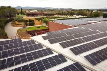 Una bodega centenaria contra el cambio climático