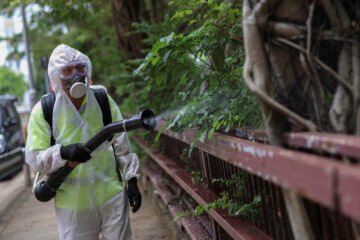 Los fantasmas de la pandemia regresan a China por culpa del chikungunya: «Cuarentenas, funcionarios fumigando calles, entrando a la fuerza en casas… Ha sido como revivir una pesadilla»