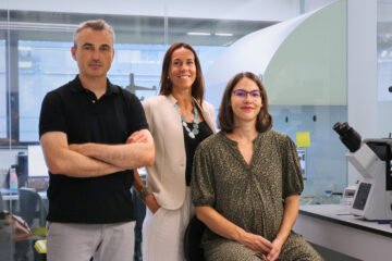 Graban por primera vez el proceso de implantación de un embrión humano en tiempo real