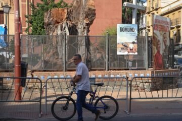 Los ecologistas piden conservar el tronco del ficus de San Jacinto en Sevilla: “Que se sepa la barbaridad que han hecho”