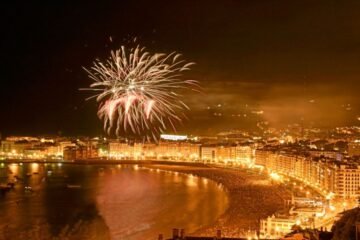 Goia cree que pedir suspender los fuegos artificiales por bienestar animal «nos lleva casi al absurdo»
