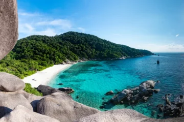 30.000 euros de indemnización para una mujer a la que despidieron por ir a la playa mientras estaba de excedencia para cuidar a su madre con Alzheimer