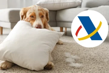 Así es la deducción por tener mascotas en casa que hará que los contribuyentes se ahorren bastante en la declaración de la Renta