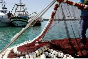 Los capturas de pesca en Marruecos descienden significativamente en los dos primeros meses del año