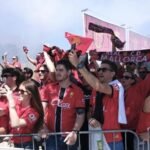 La afición del Mallorca se aferra al milagro de la salvación: «No sé por qué, pero sigo confiando en ellos»