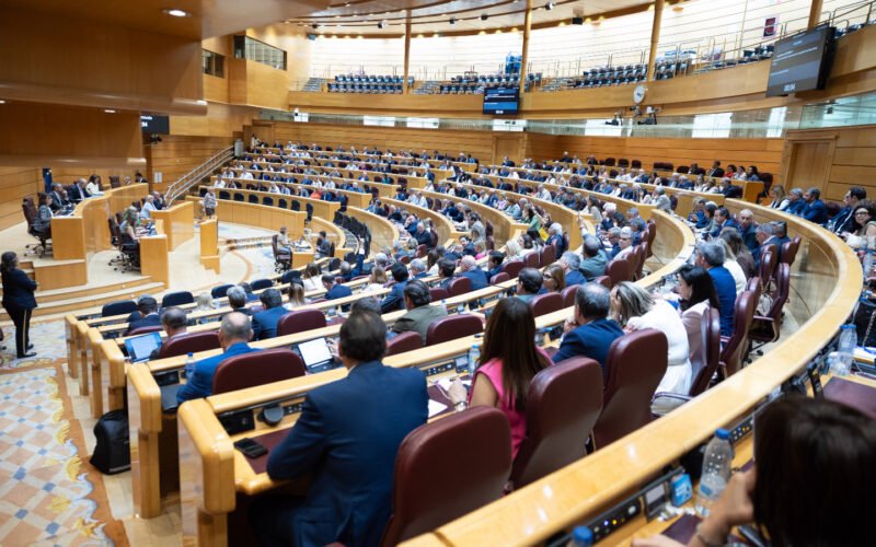 Una oportunidad histórica perdida para convertir la prevención del suicidio en política de Estado