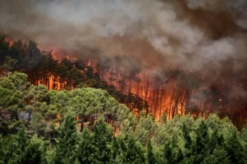 La segunda ola de calor del verano dispara el riesgo extremo de incendios