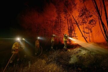 Detector de bulos ambientales | Cinco mitos sobre los incendios forestales