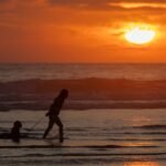 Los océanos del planeta registran la temperatura diaria más alta desde que hay datos