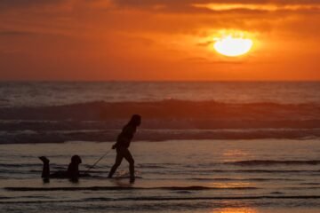 Los océanos del planeta registran la temperatura diaria más alta desde que hay datos