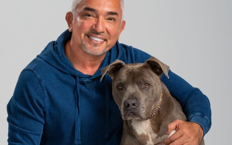 ¿Qué ha pasado con el popular «Encantador de Perros» tras salir de la televisión?