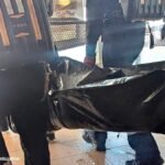 Al menos 15 muertos y más de un centenar de heridos en un ataque ruso en Kryvyi Rih, la ciudad natal de Zelenski