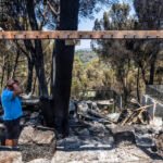 La cicatriz negra: viaje al paisaje después del fuego