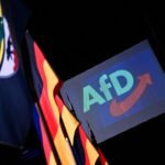 ¿Quién ha votado a AfD? Los apoyos de la extrema derecha en Sajonia-Anhalt por municipio, edad o situación económica