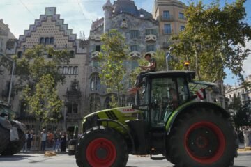 Santiago Niño Becerra, economista, se posiciona a cerca de la situación del campo: “Algo no va bien”