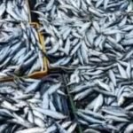 Datos negativos en Marruecos sobre el crecimiento económico en el segundo trimestre de este año